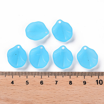 Transparent Frosted Acrylic Pendants MACR-S371-02A-755-1