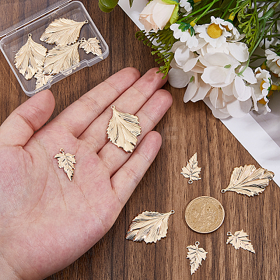 12Pcs 2 Styles Brass Pendants KK-HS0015-52-1
