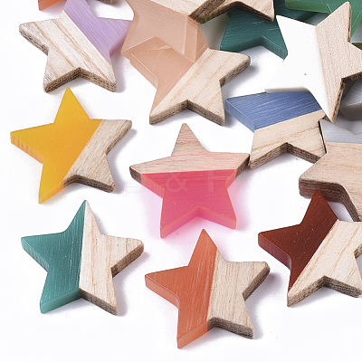 Resin & Wood Cabochons RESI-R425-02-1
