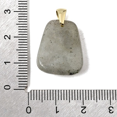 Natural Labradorite Pendants G-C282-03F-1