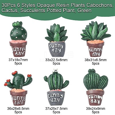30Pcs 6 Styles Opaque Resin Plants Cabochons CRES-CJ0001-55-1