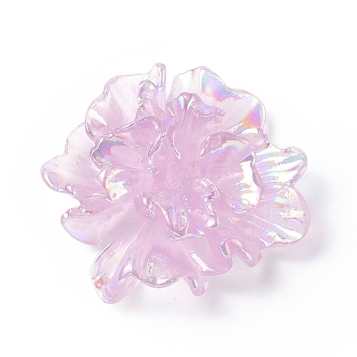 Resin Cabochon RESI-E033-01-1
