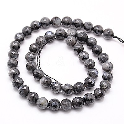 Natural Larvikite Beads Strands G-G736-01-8mm-1