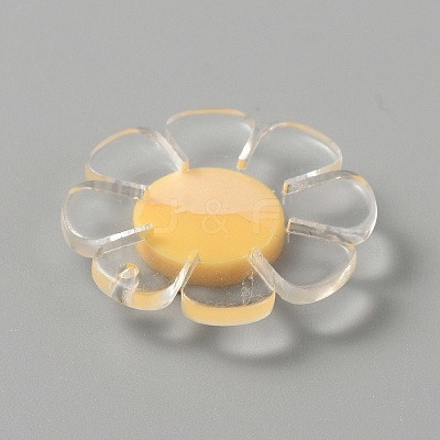 Transparent Resin Pendants LS-RESI-WH0029-46B-09-1