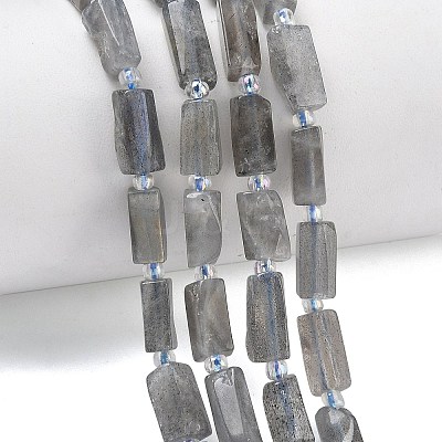 Natural Labradorite Beads Strands G-C270-K19-01-1
