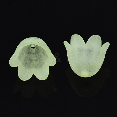 Transparent Acrylic Bead Caps FACR-N005-002B-1