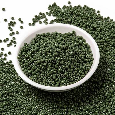 MIYUKI Round Rocailles Beads X-SEED-G008-RR0501-1