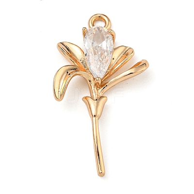 Brass Micro Pave Clear Cubic Zirconia Pendants ZIRC-U003-01G-04-1