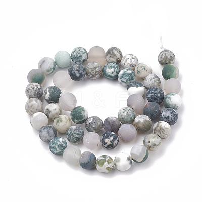 Natural Tree Agate Beads Strands X-G-T106-038-1
