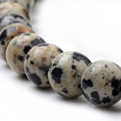 Natural Dalmatian Jasper Beads Strands G-S259-24-10mm-1