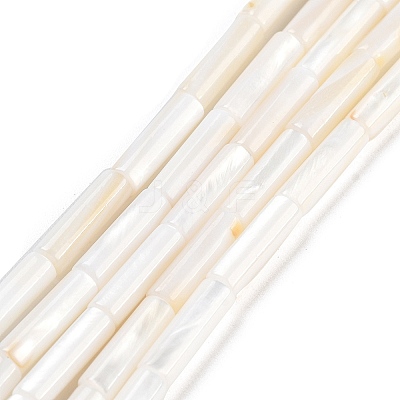 Freshwater Shell Beads Strands BSHE-L037-13-1