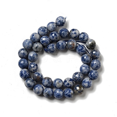 Natural Blue Spot Jasper Beads Strands G-P476-01D-02-1