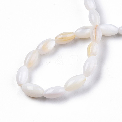 Natural Freshwater Shell Beads Strands SHEL-N026-212-A01-1