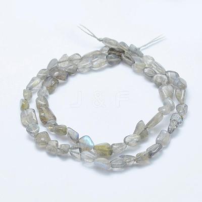 Natural Labradorite Beads Strands G-K203-12-1