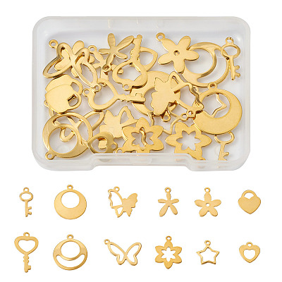 24Pcs 12 Style Stainless Steel Charms STAS-FW0001-30-1