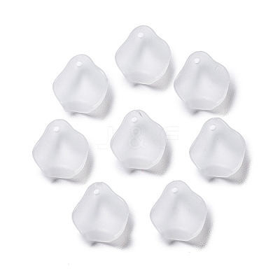 Frosted Acrylic Pendants OACR-G014-02-1