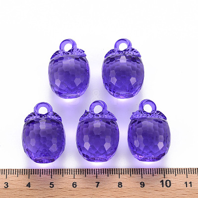 Autumn Theme Transparent Acrylic Pendants TACR-T024-04B-936-1