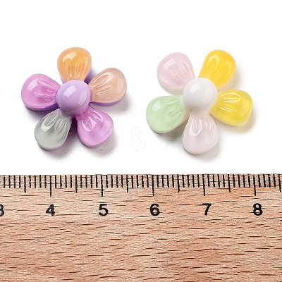 Translucent Resin Decoden Cabochons RESI-B027-02-1