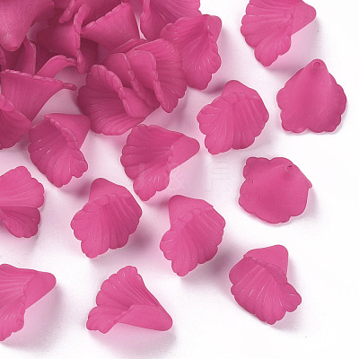Transparent Acrylic Bead Caps PL551-C16-1