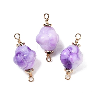 Opaque Acrylic Imitation Gemstone Links Connector Charms KK-K296-08B-G-1