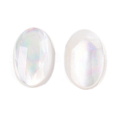 Natural White Shell Cabochons SSHEL-T017-06-1