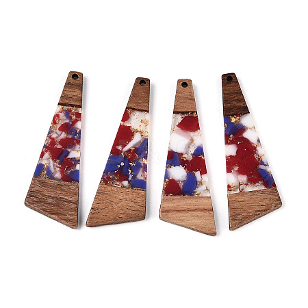Transparent Resin & Walnut Wood Big Pendants RESI-TAC0017-70-D01-1