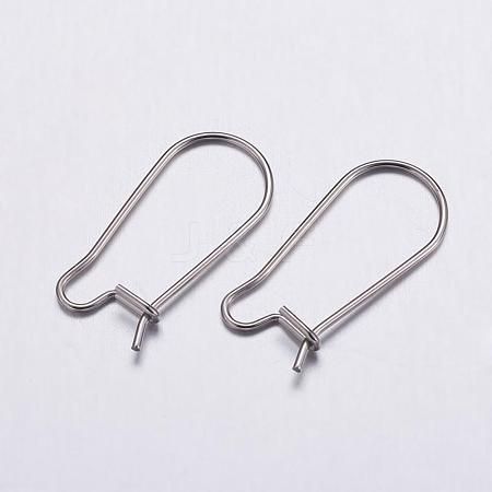 Tarnish Resistant 316 Surgical Stainless Steel Hoop Earrings Settings STAS-K146-040-20x10mm-1