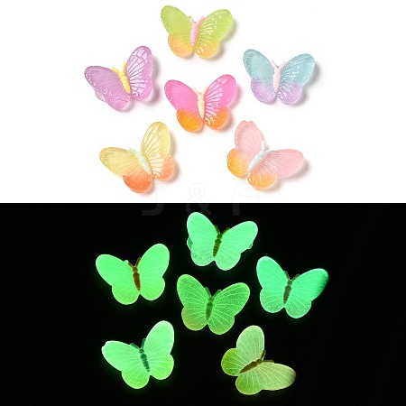 Luminous Translucent Resin Decoden Cabochons RESI-M041-06-1