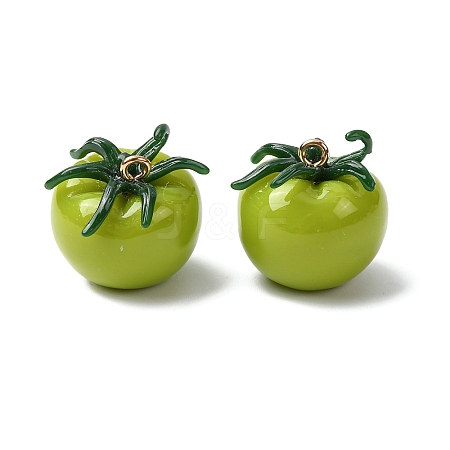 Imitation Vegetable Resin Pendants RESI-K033-03B-02-1