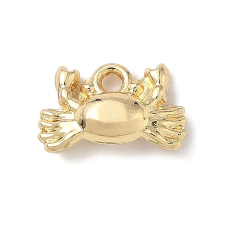 Alloy Charms FIND-Z101-04G-04-1
