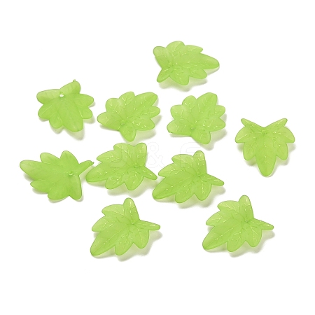 Frosted Acrylic Pendants FACR-G006-01B-1