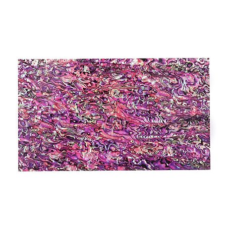 lastic Abalone Shell Paper DIY-WH0349-100A-1
