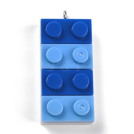 Resin Pendants RESI-E017-C02-1