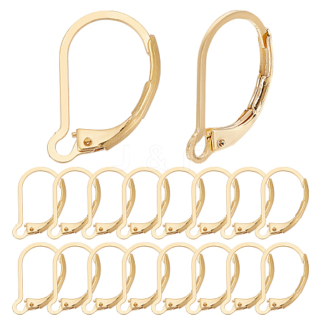 80Pcs 304 Stainless Steel Leverback Earring Findings STAS-ME0001-25G-1