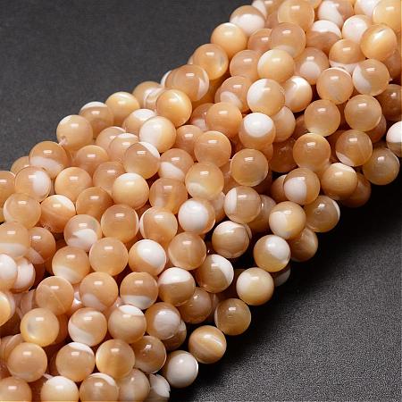 Natural Sea Shell Beads Strands SSHEL-K013-6mm-B-1