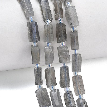 Natural Labradorite Beads Strands G-C270-K19-01-1
