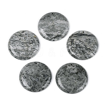 Natural Map Stone Pendants G-N361-04D-1