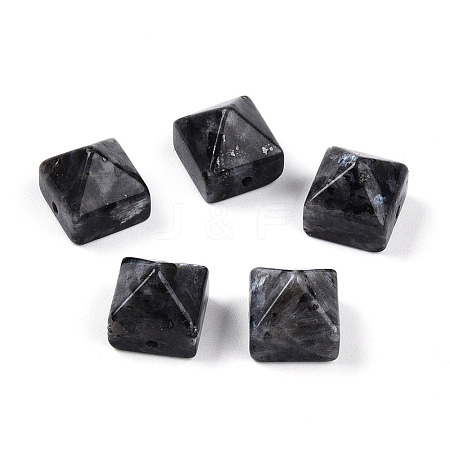 Natural Larvikite Beads G-N345-02A-02-1