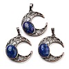 Dyed Natural Lapis Lazuli Pendants G-L602-01R-13-1