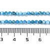 Natural Apatite Beads Strands X-G-P542-A06-02-5