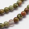 Natural Rhyolite Jasper Beads Strands G-N0183-01-2mm-3