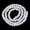 Imitate Austrian Crystal Bicone Frosted Glass Beads Strands LS-EGLA-A039-T4mm-MB13-2