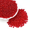 3/0 Baking Paint Glass Fringe Seed Beads SEED-A034-04E-2