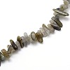 Labradorite Beads Strands G-O051-08-3