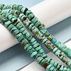 Natural Turquoise Beads Strands G-P506-05B-4