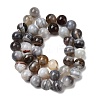 Natural Botswana Agate Beads Strands G-H334-A01-03-3