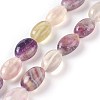 Natural Fluorite Beads Strands G-I230-05-1