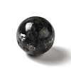 Natural Larvikite Beads G-A206-02-05-2