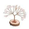 Natural Rose Quartz Chips Tree of Life Decorations GG-CBAEDF6-01I-2