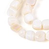 Natural Freshwater Shell Beads Strands BSHE-T014-51B-3